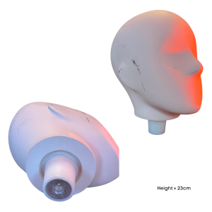 Child Head 012
