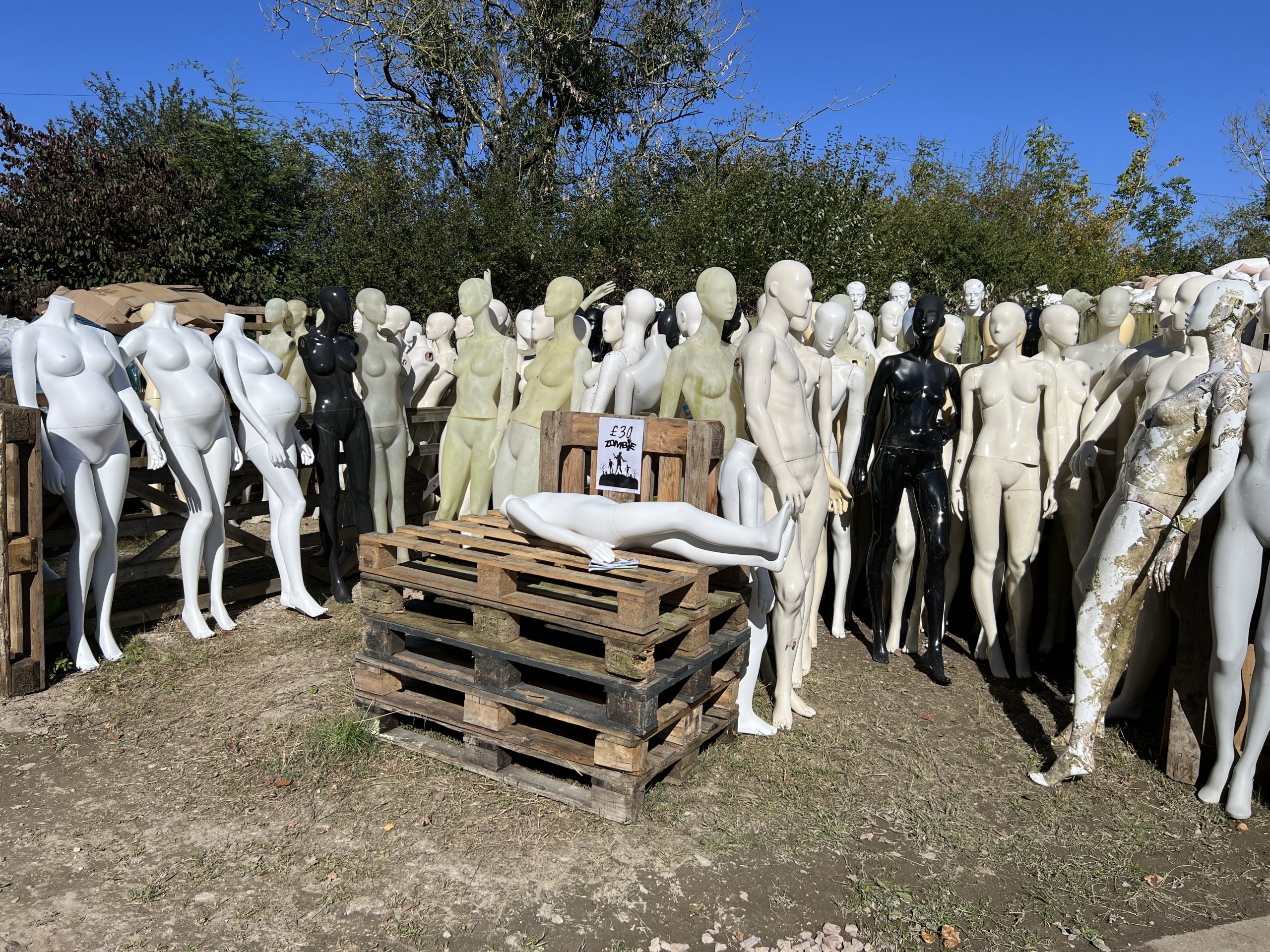 Cheap Mannequins For Sale