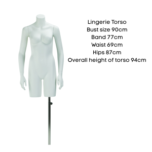 MS Lingerie Torso