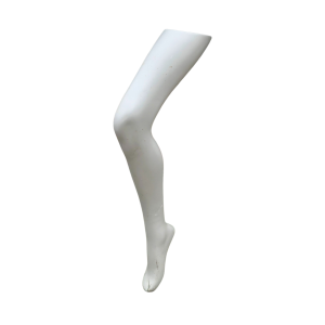 A Right Grey Leg