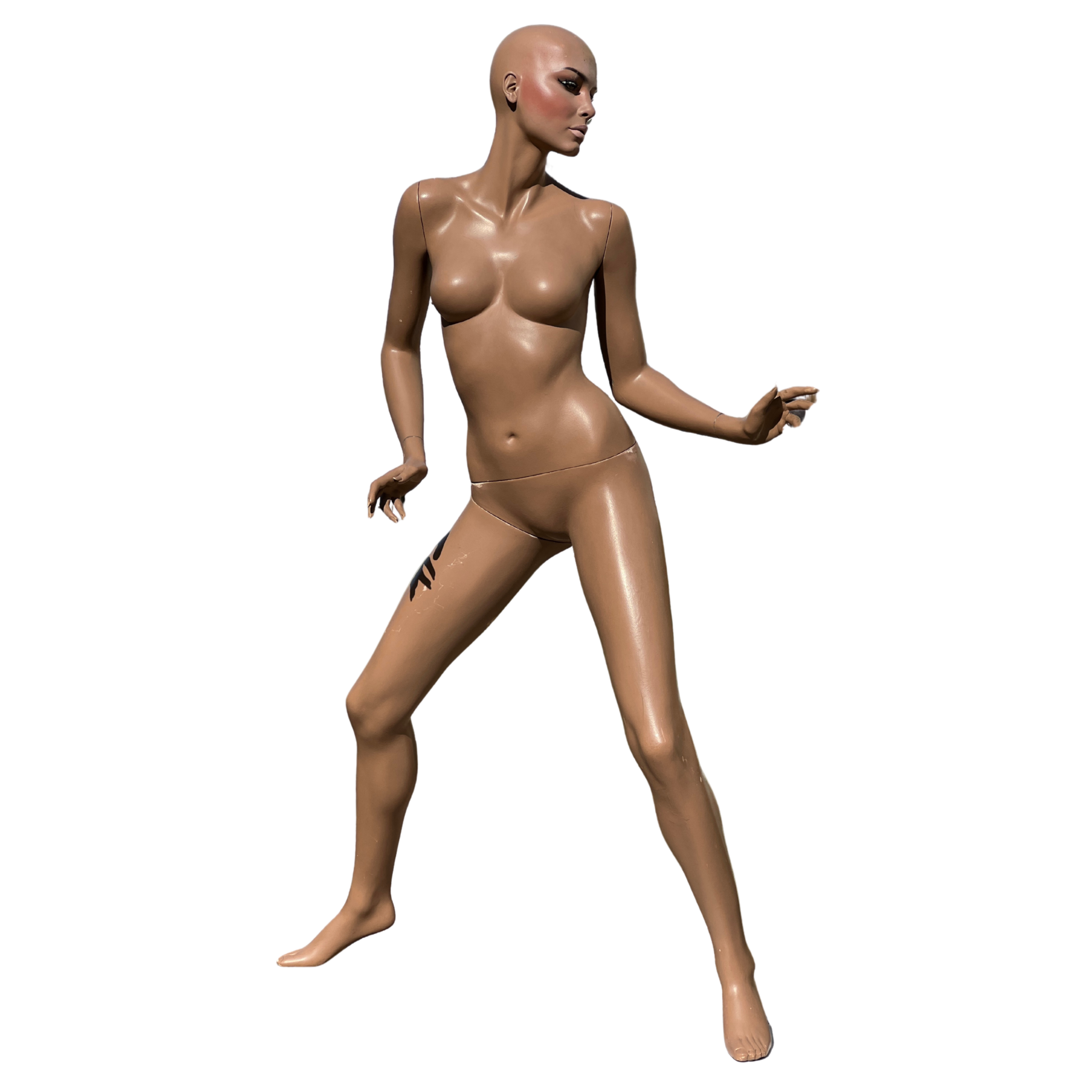 Rootstein Raver 1