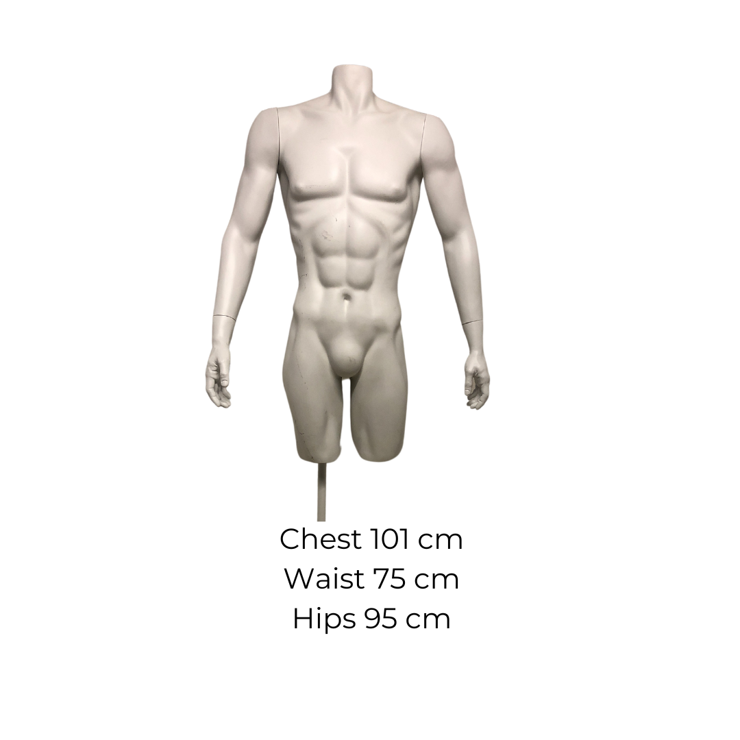 hoopla-male-torso